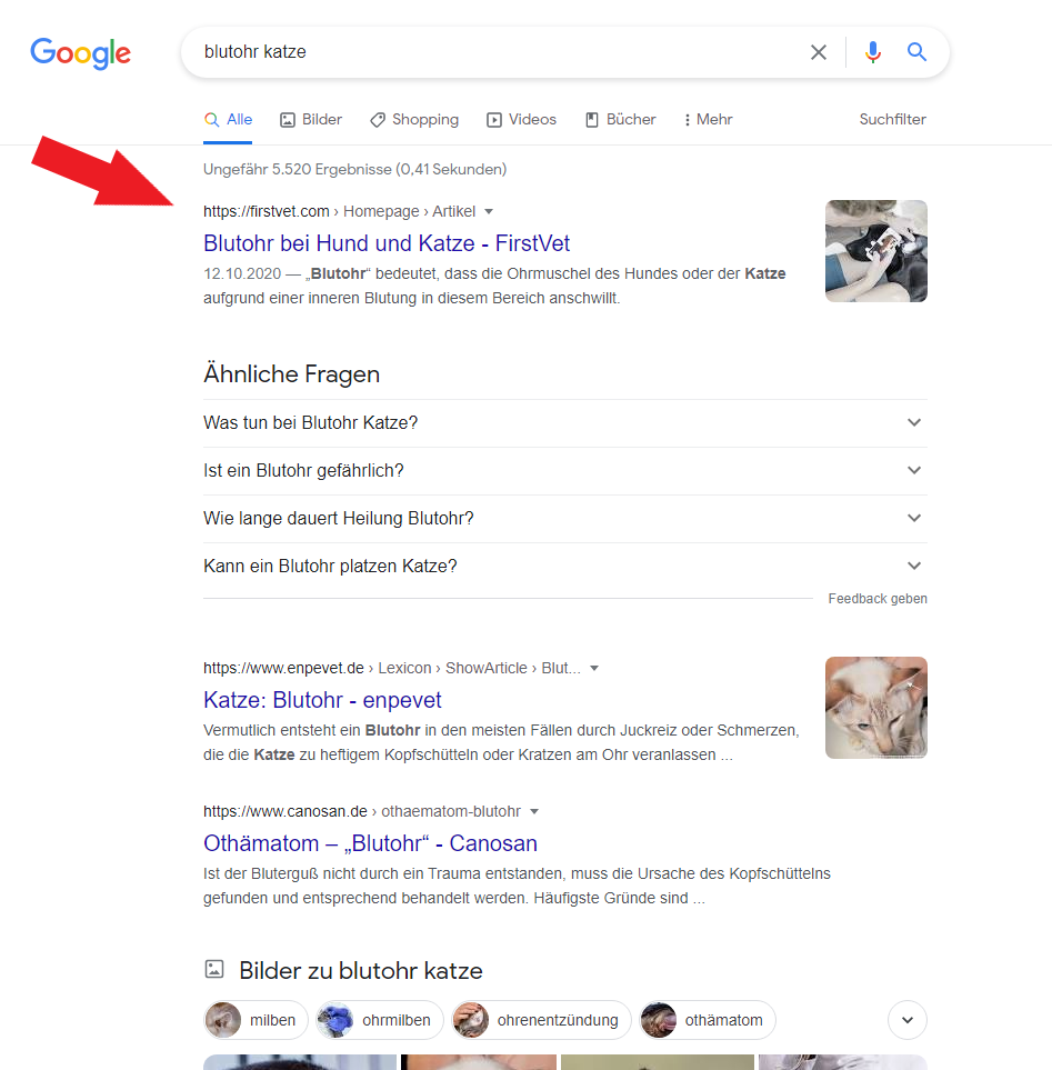 Top 1 Google Ranking für "Blutohr Katze"